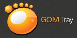 Download GOM Tray