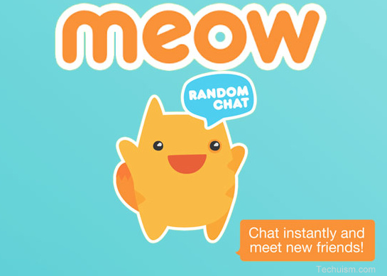 how-to-download-meow-chat-for-pc-windows-xp-7-8-8-1